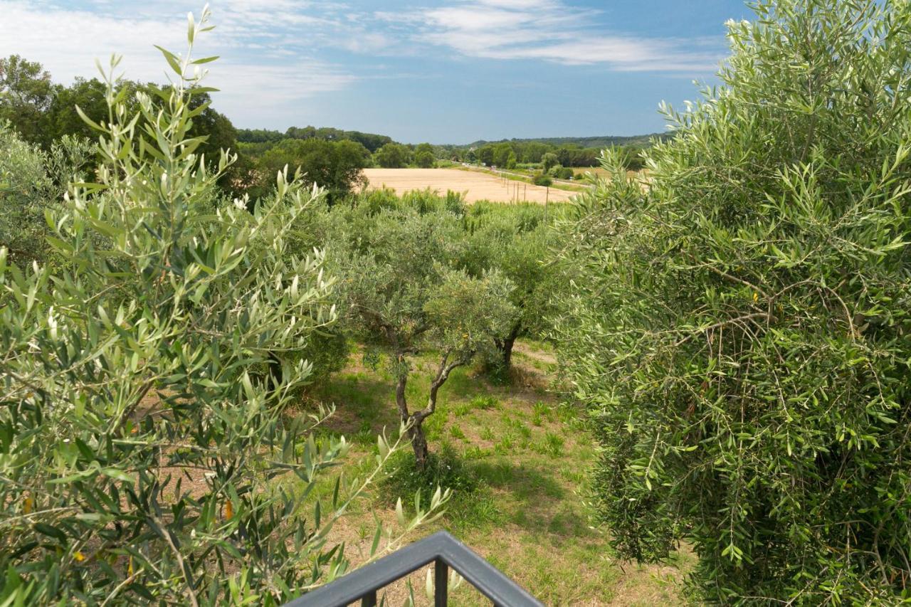 ריפרבלה Cottage Zizzolo מראה חיצוני תמונה